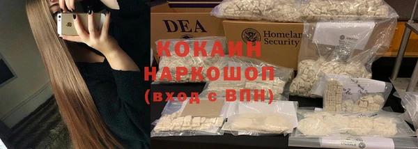 ПСИЛОЦИБИНОВЫЕ ГРИБЫ Белоозёрский