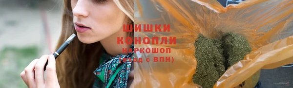ПСИЛОЦИБИНОВЫЕ ГРИБЫ Белоозёрский