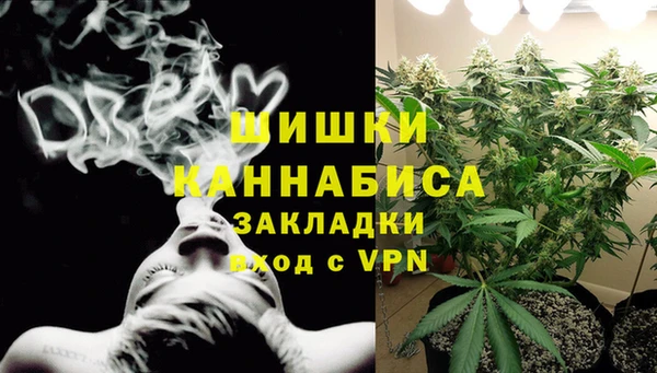 ПСИЛОЦИБИНОВЫЕ ГРИБЫ Белоозёрский