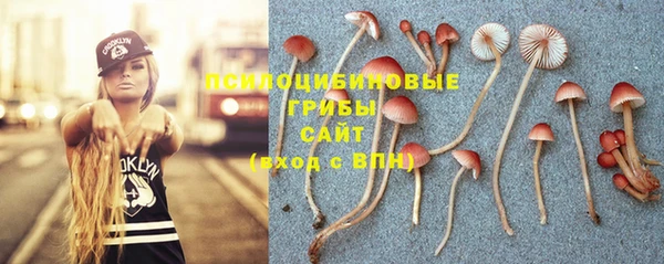 ПСИЛОЦИБИНОВЫЕ ГРИБЫ Белоозёрский